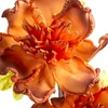Eurofirany KW/FLORE/889/POM POMA+BR