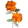 Eurofirany KW/FLORE/890/POM POMA+BR