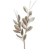 Eurofirany KW/FLORE/892/POP POPI