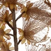 Eurofirany KW/FLORE/894/BR J.BR