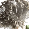 Eurofirany KW/FLORE/895/POP POPI+ZIEL