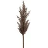 Eurofirany KW/NATU/304/BROWN BROWN
