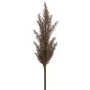 Eurofirany KW/NATU/304/BROWN BROWN