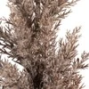 Eurofirany KW/NATU/304/BROWN BROWN