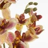 Dirbtinė orchidėja geltonais žiedais stambiu planu