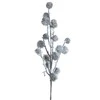 Eurofirany KW/NATU/403/ZIEL ZIEL+STAL