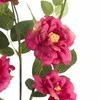 Eurofirany KW/NATU/428/AMA LOVE