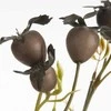 Eurofirany KW/NATU/438/BROWN BROWN