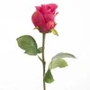 Eurofirany KW/NATU/440/AMA LOVE