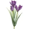 Eurofirany KW/NATU/468/FIOL FIOL