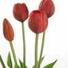 Eurofirany KW/NATU/473/Raudonas Raudonas/BOOUQUET
