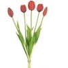 Eurofirany KW/NATU/473/Raudonas Raudonas/BOOUQUET