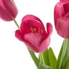 Eurofirany KW/NATU/476/AMA AMAR/BOOUQUET