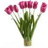 Eurofirany KW/NATU/476/AMA AMAR/BOOUQUET