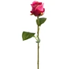 Eurofirany KW/NATU/485/AMA AMAR