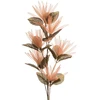 Eurofirany KW/ORGANZA/10/JB J.BR+ZIEL