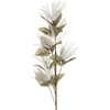 Eurofirany KW/ORGANZA/10/PO POPI+ZIEL
