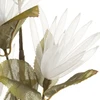 Eurofirany KW/ORGANZA/10/PO POPI+ZIEL