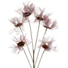 Eurofirany KW/ORGANZA/12/BO BORD