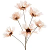 Eurofirany KW/ORGANZA/12/JB J.BR