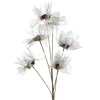 Eurofirany KW/ORGANZA/12/SR SREB