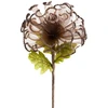 Eurofirany KW/ORGANZA/15/BR BRĄZ+ZIEL