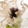 Eurofirany KW/ORGANZA/15/JB J.BEŻO+ZIEL