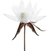 Eurofirany KW/ORGANZA/2/B