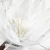 Eurofirany KW/ORGANZA/2/B