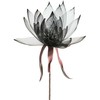 Eurofirany KW/ORGANZA/2/JUODA JUODA