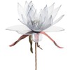Eurofirany KW/ORGANZA/2/POP POPI