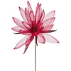 Eurofirany KW/ORGANZA/3/BOR BORD