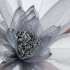 Eurofirany KW/ORGANZA/3/POP POPI