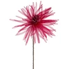 Eurofirany KW/ORGANZA/4/BOR BORD