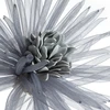 Eurofirany KW/ORGANZA/4/POP POPI
