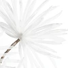 Eurofirany KW/ORGANZA/5/B B