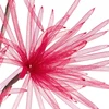 Eurofirany KW/ORGANZA/5/BOR BORD