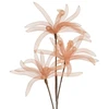 Eurofirany KW/ORGANZA/7/J.B J.BRĄZ