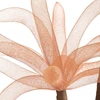 Eurofirany KW/ORGANZA/7/J.B J.BRĄZ