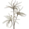 Eurofirany KW/ORGANZA/7/POP POPI