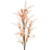 Eurofirany KW/ORGANZA/9/J.B J.BR