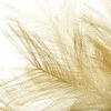 Eurofirany KW/WIANEK/1/OLIVE OLIVE