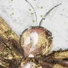 Eurofirany OBRAZ/662 60X120X3