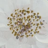 Eurofirany OBRAZ/753 60X60X4