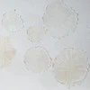 Eurofirany PAVEIKSLAS / 499 100X100