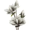 Eurofirany KW/FLORE/667/SRE SREB+B