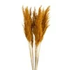 Eurofirany SQ/NAT/43406-548 73CM PUOKŠTE