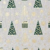 Eurofirany SW/CHO/36 40X140 B+ZŁ
