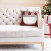 Eurofirany SW/CHP/161 45X45 CZER+B