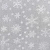 Eurofirany SW/FIR/SNOW/B+SR 140X250 PRZEL